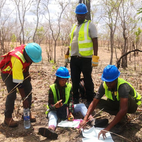 The Role of Geological Mapping in Mineral Exploration
